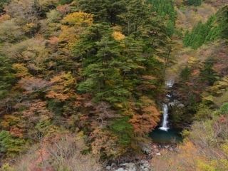 べふ峡の紅葉の写真4