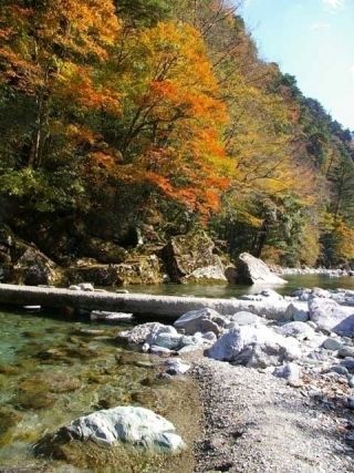 安居渓谷の紅葉写真２