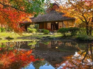 九年庵の紅葉の写真３