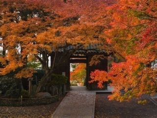大興善寺の紅葉写真1