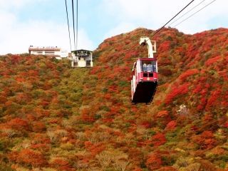 仁田峠の紅葉写真１