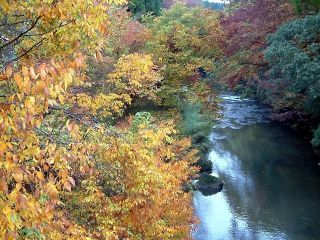 五ヶ瀬渓谷の紅葉の写真４