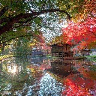 中尊寺の紅葉写真１