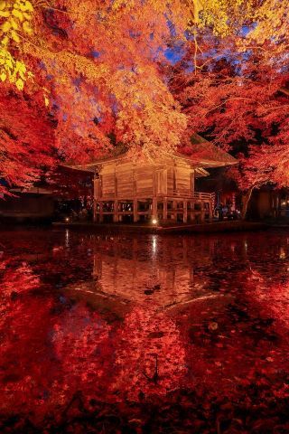 中尊寺の紅葉写真２