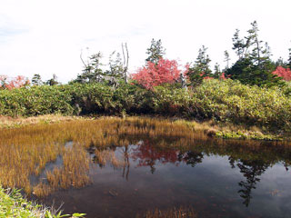 栂池自然園