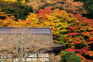 百済寺（湖東三山）の紅葉写真２