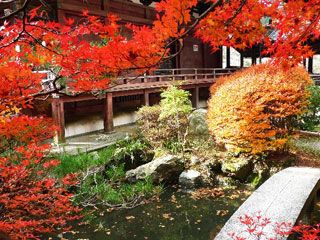 京都山科 毘沙門堂の紅葉写真１
