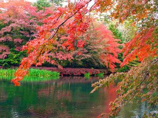 軽井沢 雲場池の紅葉写真１