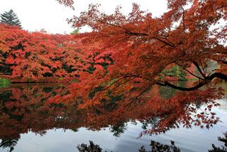 軽井沢 雲場池の紅葉写真２