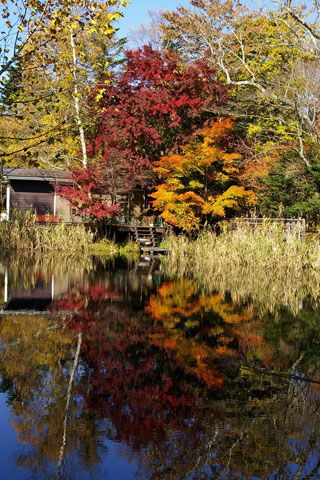 軽井沢 雲場池の紅葉の写真３