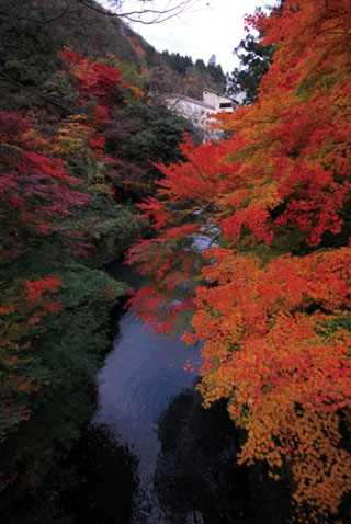 鶴仙渓（山中温泉）の紅葉写真２