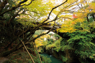 鶴仙渓（山中温泉）の紅葉の写真４
