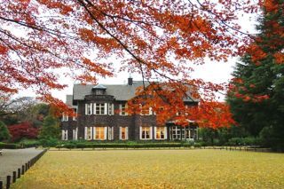 旧古河庭園の紅葉写真1