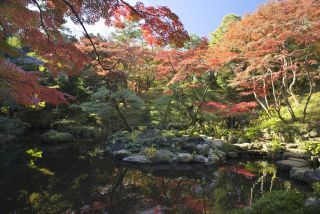 殿ヶ谷戸庭園の紅葉写真１