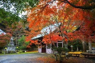 檀特山 小松寺の紅葉写真２