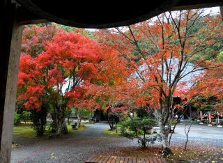 檀特山 小松寺の紅葉の写真３