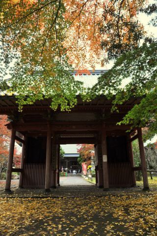 檀特山 小松寺の紅葉の写真４