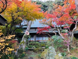 本土寺の紅葉写真２