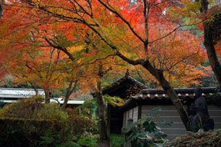 瑞泉寺の紅葉の写真３
