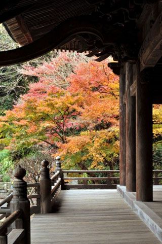 妙本寺の紅葉写真１
