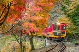 嵯峨野トロッコ列車の紅葉の写真３