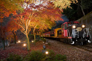 嵯峨野トロッコ列車の紅葉の写真４