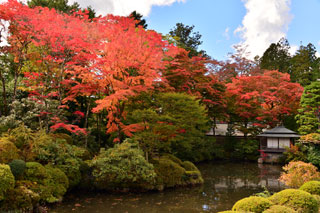 日光山輪王寺 日本庭園「逍遥園」の紅葉写真２