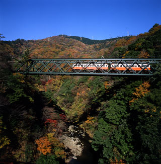 箱根登山鉄道 早川橋梁（出山の鉄橋）の紅葉写真１