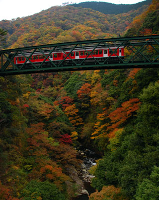 箱根登山鉄道 早川橋梁（出山の鉄橋）の紅葉写真２