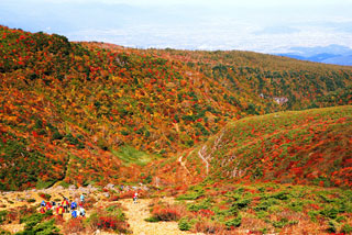 安達太良山・あだたら高原の紅葉写真１