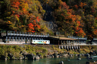 長良川鉄道の紅葉写真２