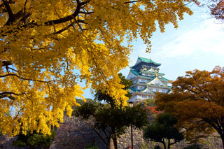 大阪城公園の紅葉写真１