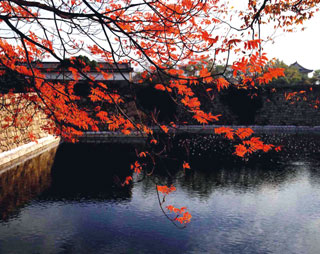 大阪城公園の紅葉写真２