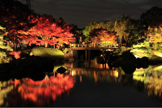 大仙公園 日本庭園の紅葉写真１