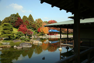 大仙公園 日本庭園の紅葉写真２