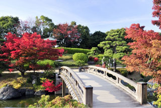 大仙公園 日本庭園の紅葉の写真３
