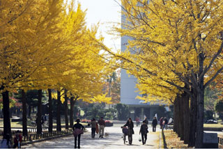 大仙公園 日本庭園の紅葉の写真４