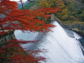 白水ダム（白水溜池堰堤）の紅葉写真１