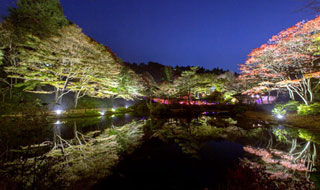 六甲高山植物園の紅葉写真１
