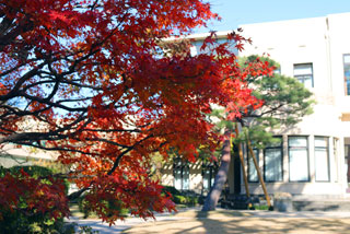 東京都庭園美術館の紅葉の写真３