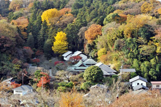 東慶寺の紅葉写真１