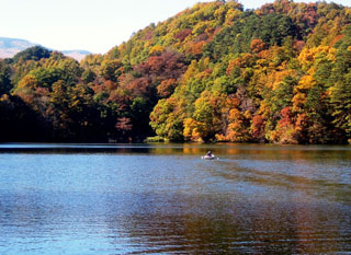 松原湖高原の紅葉写真１