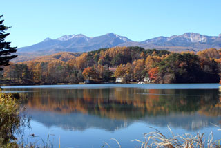 松原湖高原の紅葉の写真４