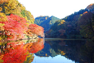 鎌北湖の紅葉写真１