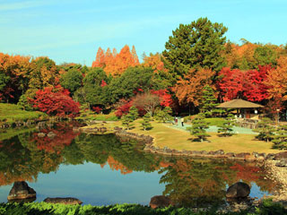 愛知県緑化センターの紅葉写真２