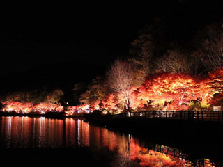 愛知県緑化センターの紅葉の写真３