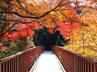 王滝渓谷の紅葉写真１