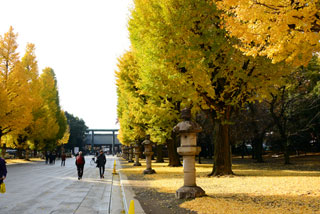 靖国神社の紅葉の写真３