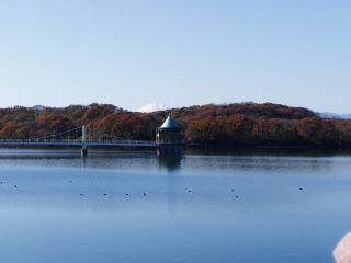 狭山湖（山口貯水池ダム・県立狭山自然公園）の紅葉写真１