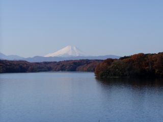 狭山湖（山口貯水池ダム・県立狭山自然公園）の紅葉写真２